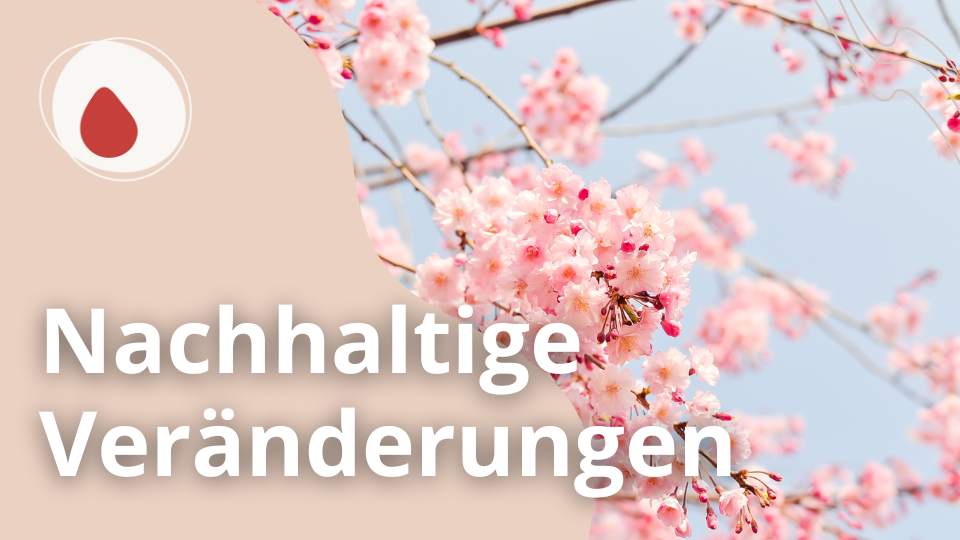 Veränderungen erreichen Zyklusphase