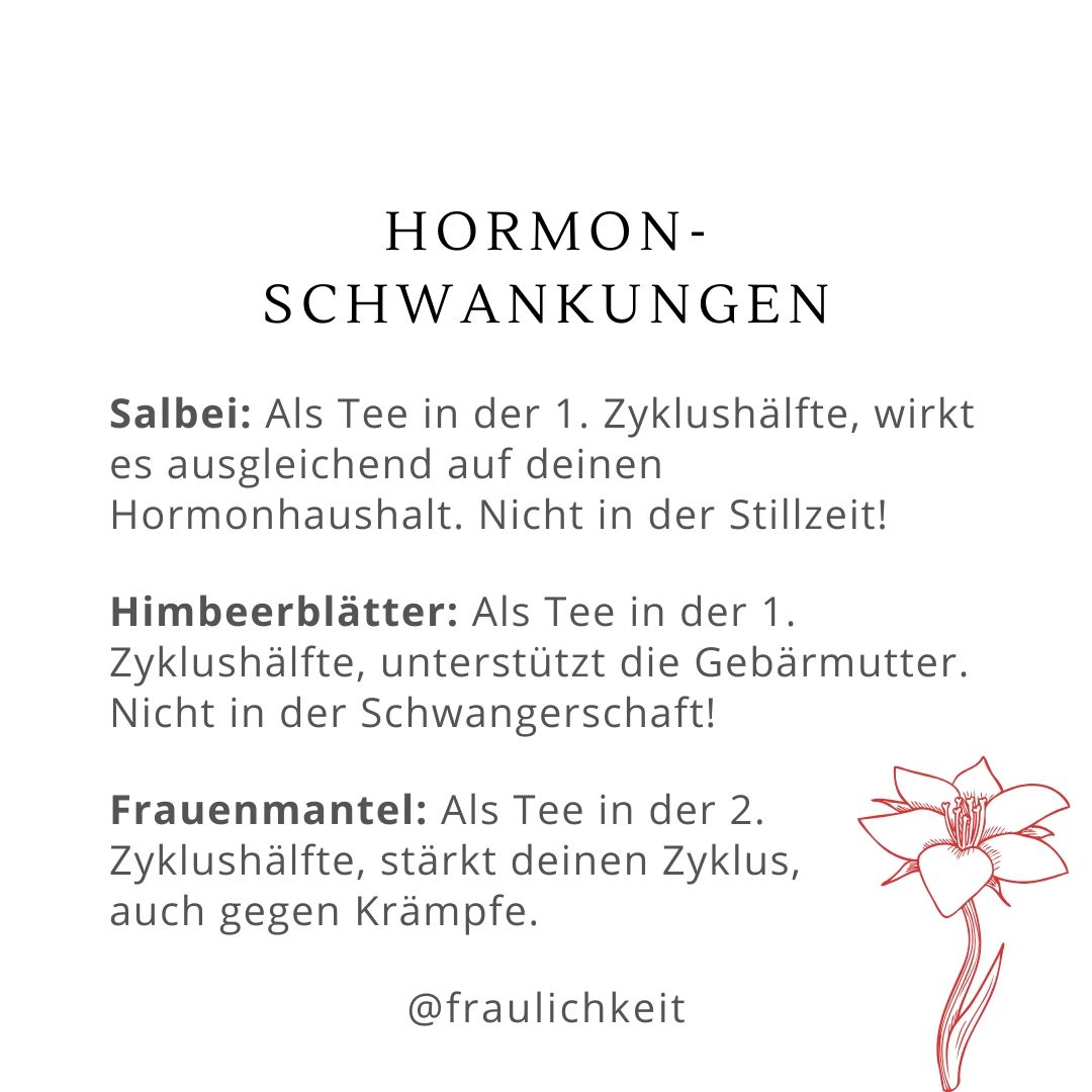 Heilkräuter bei Regelschmerzen Menstruationsbeschwerden PMS ausbleibender Menstruation Hormonschwankungen natürliche Hausmittel