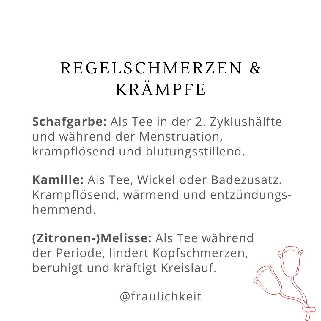 Heilkräuter bei Regelschmerzen Menstruationsbeschwerden PMS ausbleibender Menstruation Hormonschwankungen natürliche Hausmittel