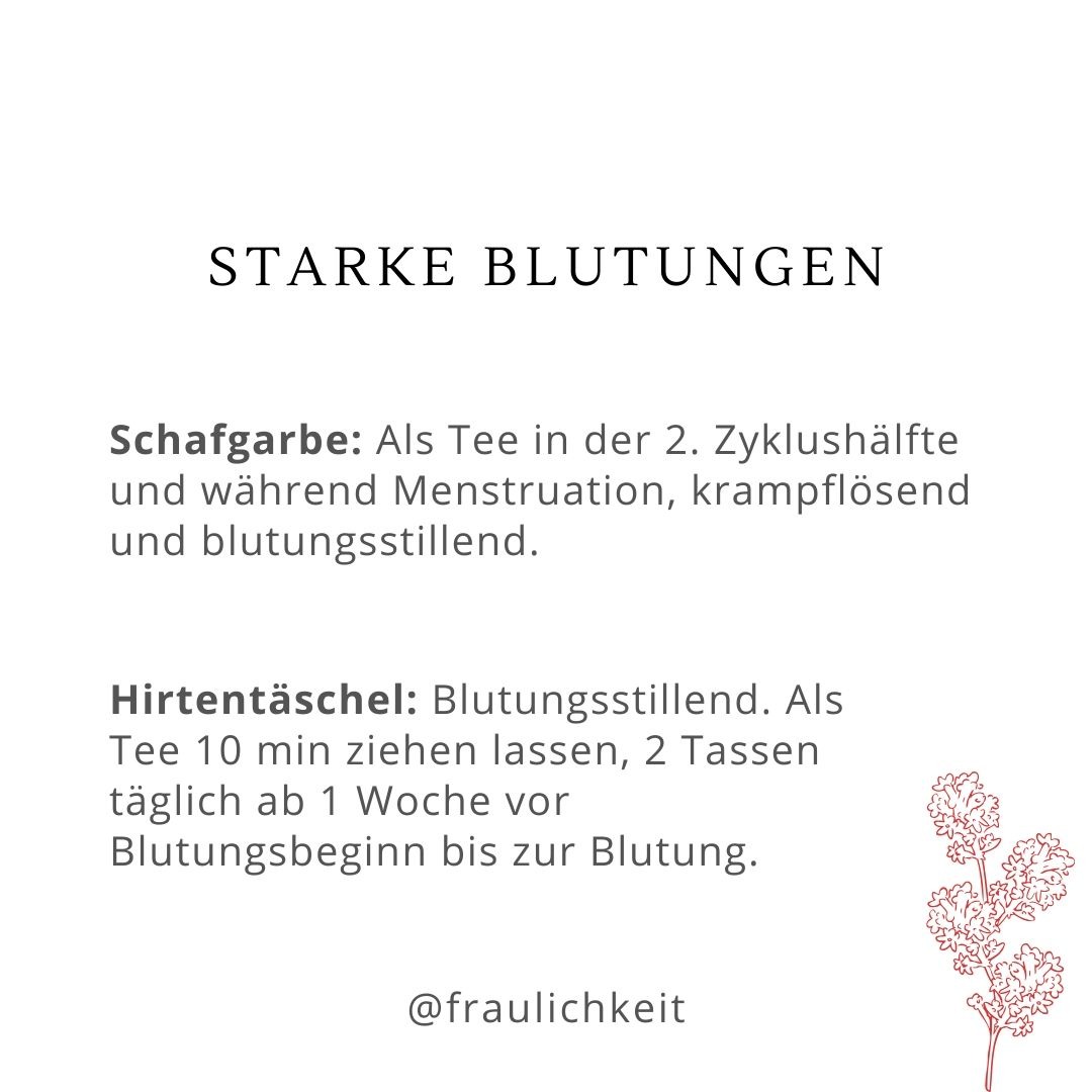 Heilkräuter bei Regelschmerzen Menstruationsbeschwerden PMS ausbleibender Menstruation Hormonschwankungen natürliche Hausmittel