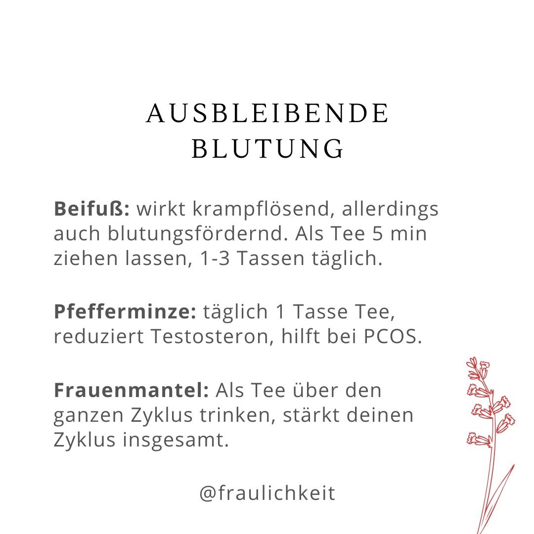 Heilkräuter bei Regelschmerzen Menstruationsbeschwerden PMS ausbleibender Menstruation Hormonschwankungen natürliche Hausmittel