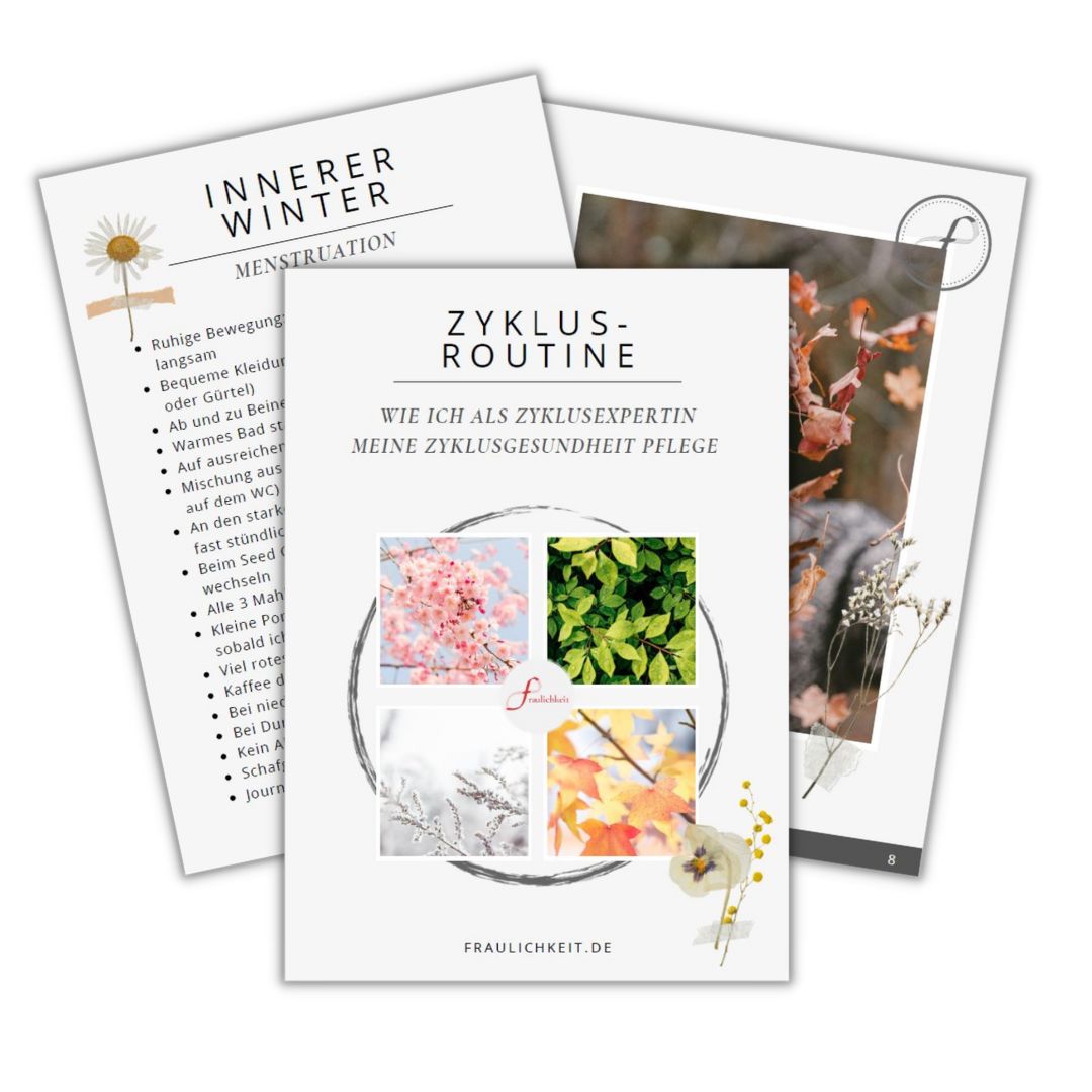 Routine für gesunden Zyklus schmerzfrei und smooth Anne Lippold