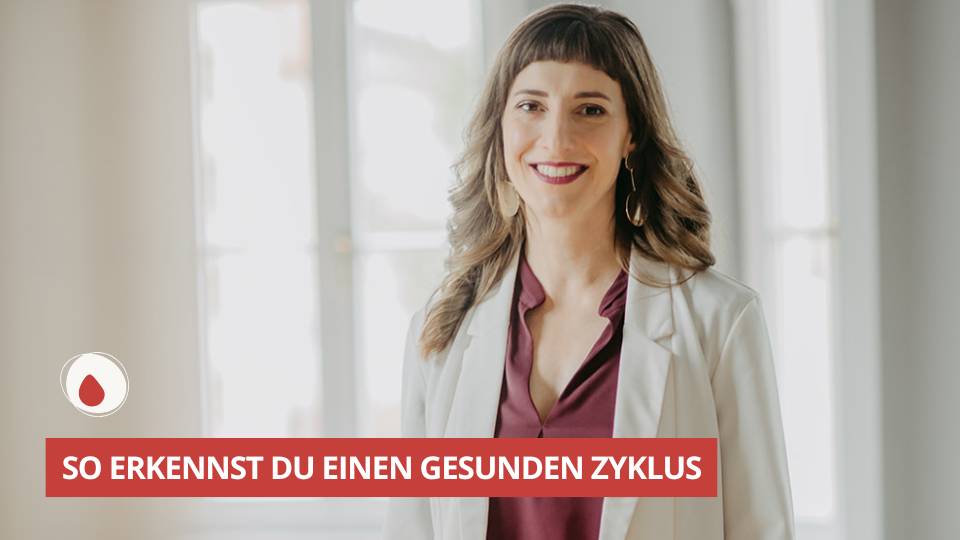 ZGLG-62-Gesunder-Zyklus